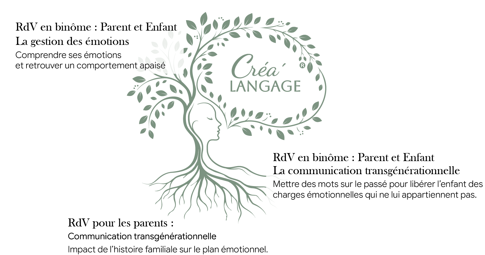 arbre
